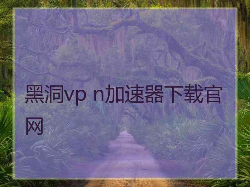 黑洞vp n加速器下载官网