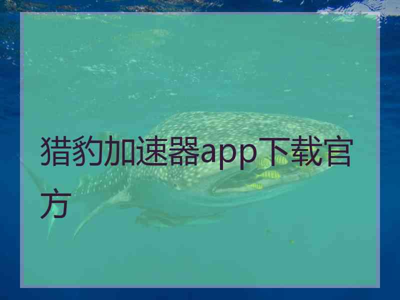 猎豹加速器app下载官方