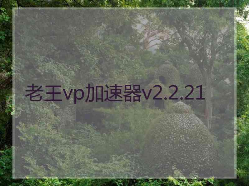 老王vp加速器v2.2.21