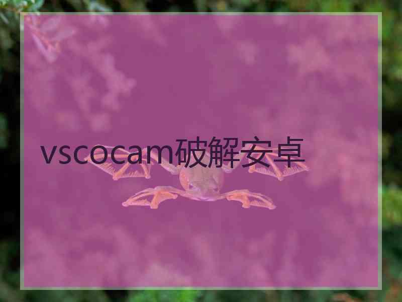 vscocam破解安卓