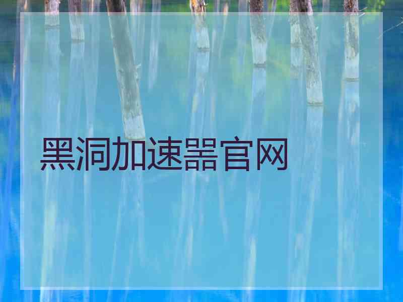 黑洞加速噐官网