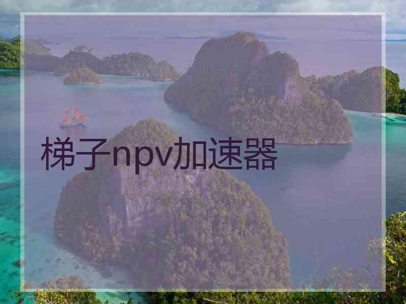梯子npv加速器