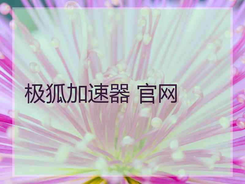 极狐加速器 官网