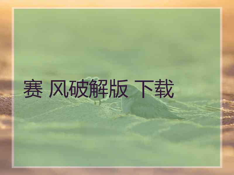 赛 风破解版 下载