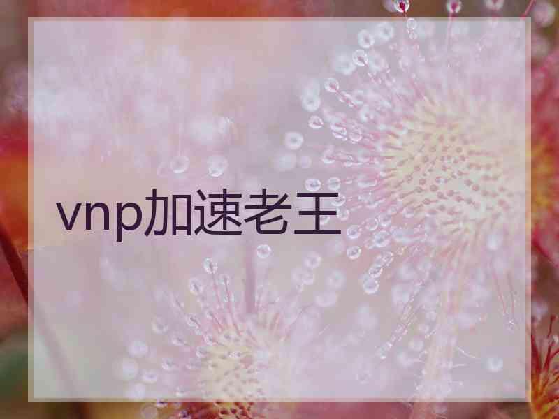 vnp加速老王