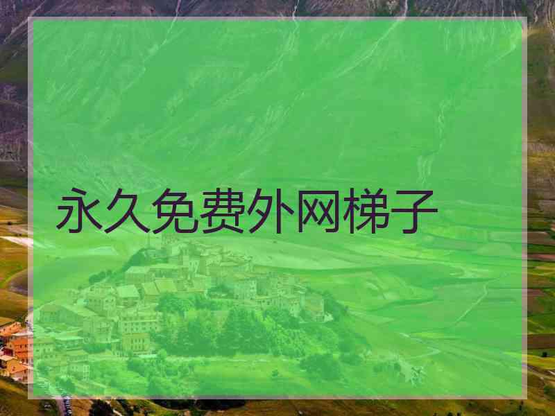 永久免费外网梯子