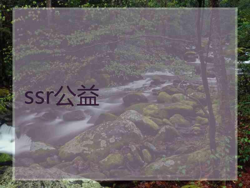 ssr公益