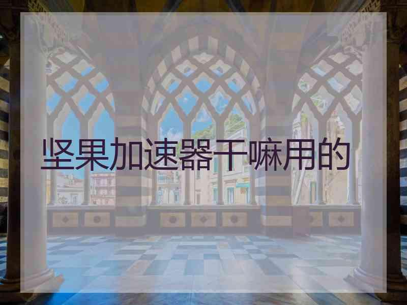 坚果加速器干嘛用的